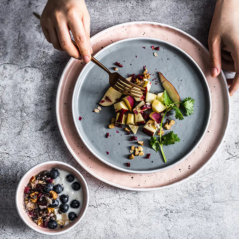 European Ceramic Plate for Steak and Dishes