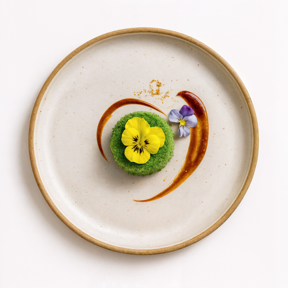 Creative Retro Stoneware Sesame Dinner Plate